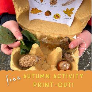 ✨ FREE ✨ Autumn Activity Print Out! 🍂 🌰