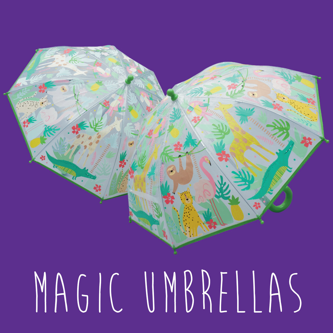 Magic Umbrellas