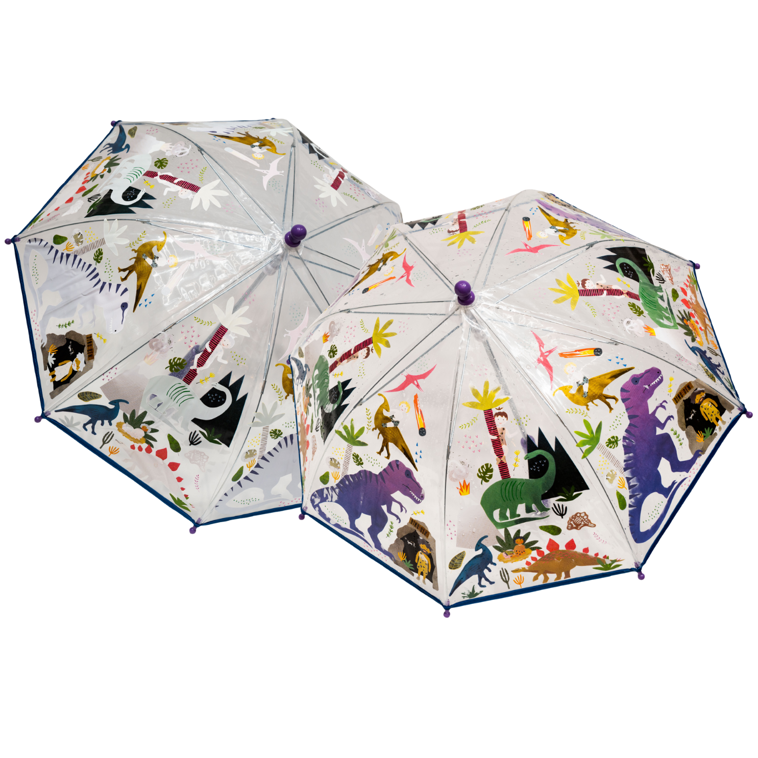 Transparent Colour Changing Umbrella - Dino