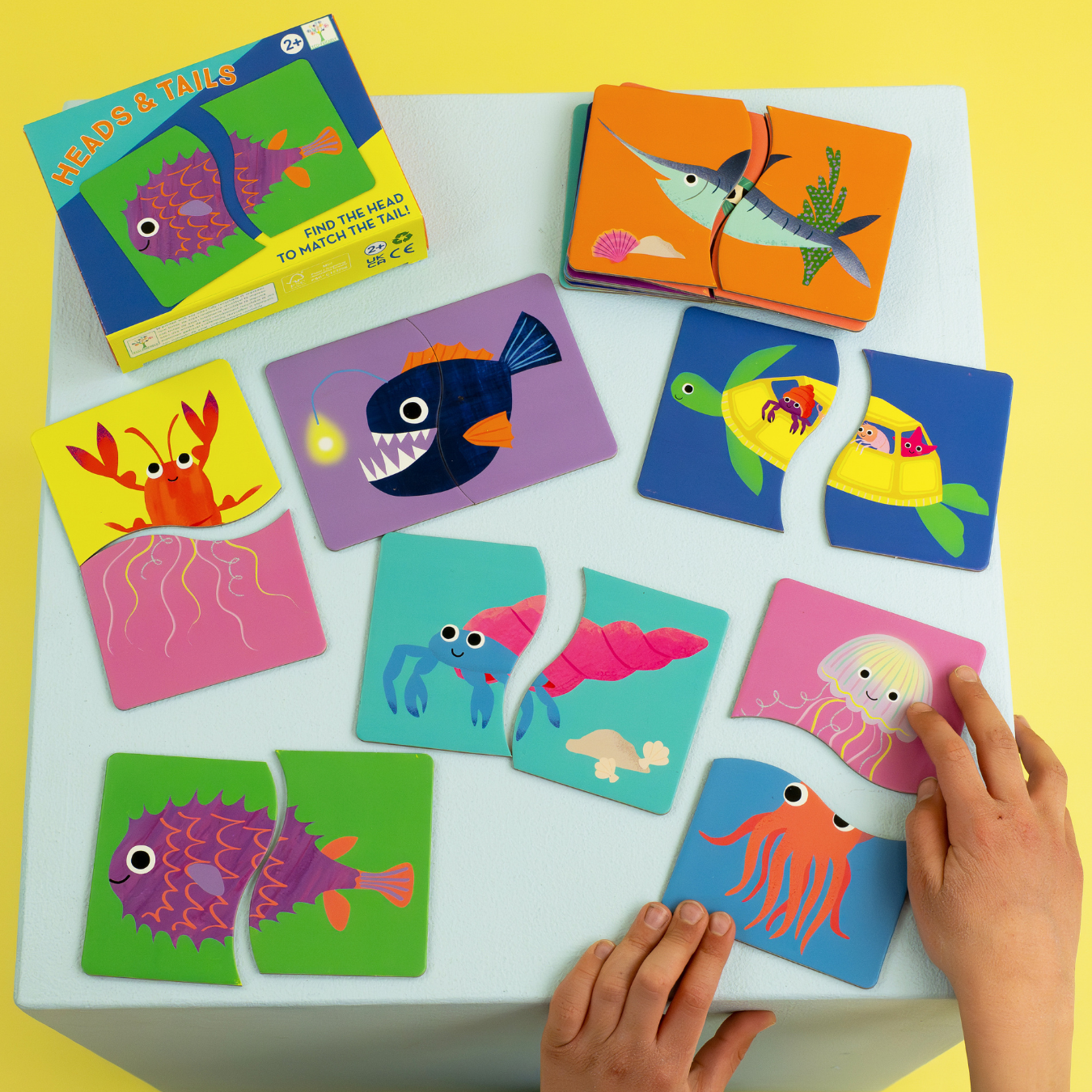 Heads & Tails game - children's educational travel toy game 